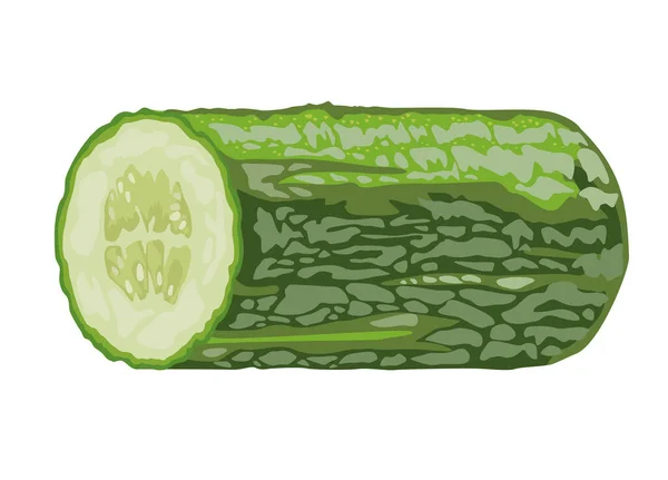 Vegetal de pepino saludable — Vector de stock