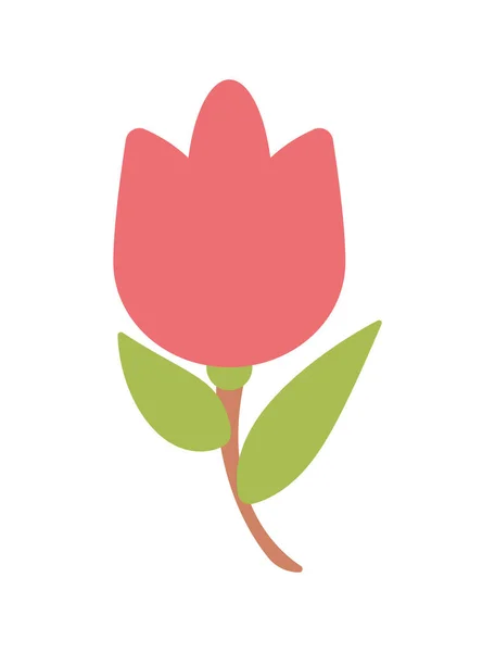 Vermelho rosa flor jardim — Vetor de Stock