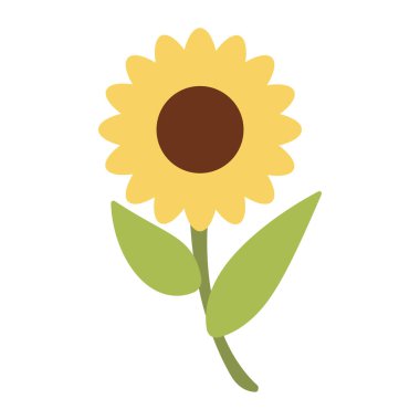 Sarı ayçiçeği bahçesi