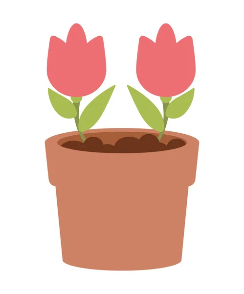 Rosas jardim planta — Vetor de Stock