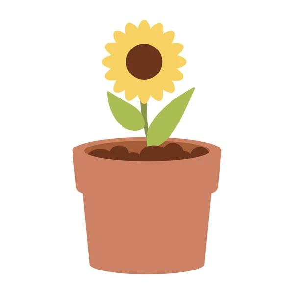 Garden sunflower plant — Stock Vector