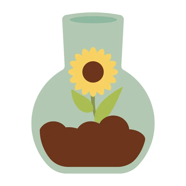 Tournesol en pot en verre — Image vectorielle