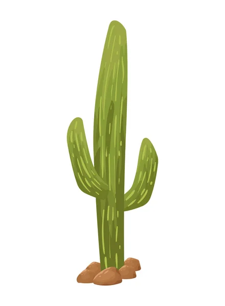 Woestijncactusplant — Stockvector
