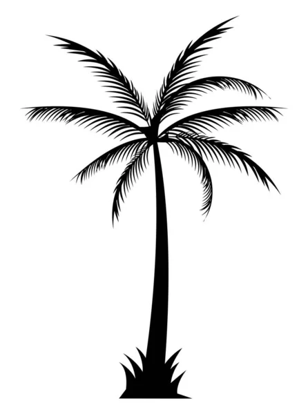 Boom palm silhouet stijl — Stockvector