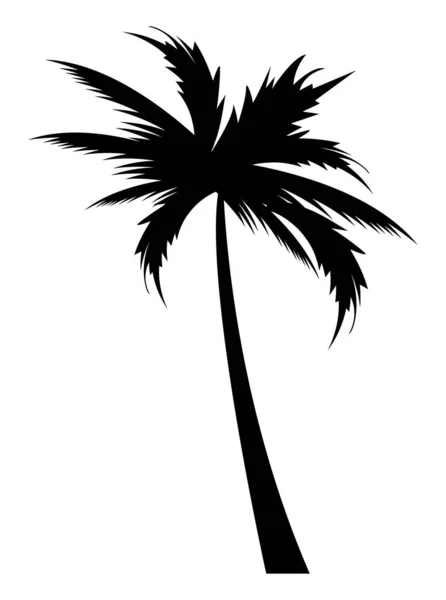 Strand boom palm silhouet — Stockvector