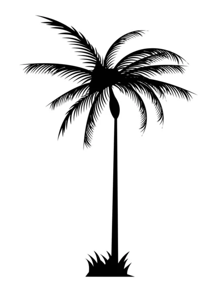 Árbol de palma silueta negra — Vector de stock
