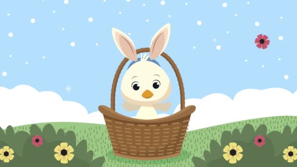 Easter animation with duck wearing ears rabbit in basket — Stock Video