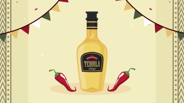 Celebración de la fiesta mexicana con animación tequila — Vídeos de Stock