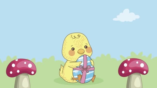 Little easter chick with egg animation — Stock Video