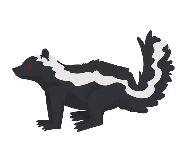 Skunk cute animal kid — Stock Vector