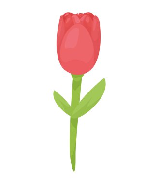 Güzel gül bahçesi