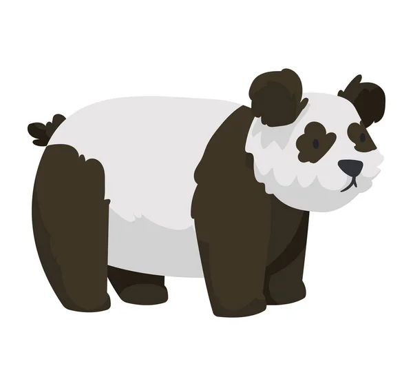 Cute bear panda animal kid — ストックベクタ