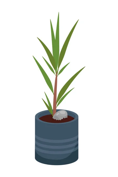 Planta en maceta azul — Vector de stock