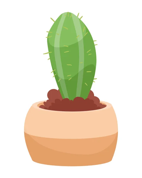 Kaktu i gryta — Stock vektor