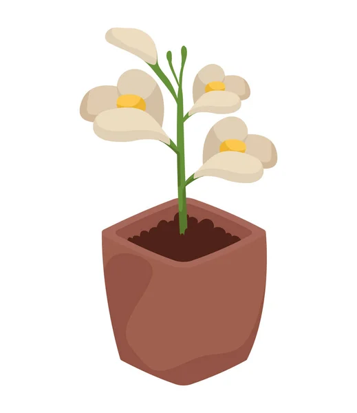 ポットの白い花 — ストックベクタ