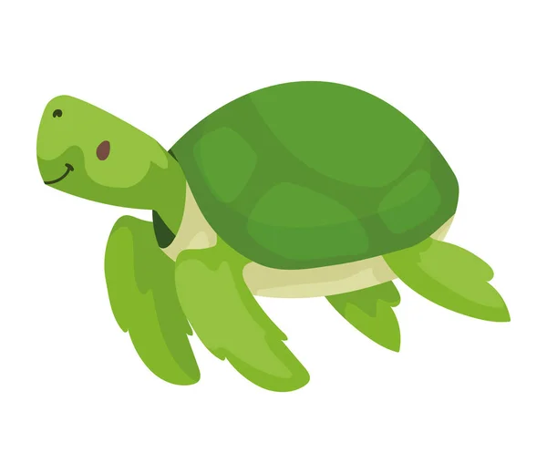 Черепаха милый ребенок животных — стоковый вектор