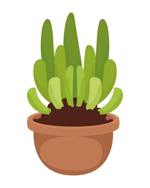 Planta de cactus en maceta — Vector de stock