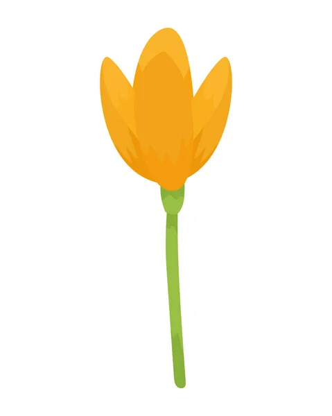 Beau jardin de fleurs de pavot — Image vectorielle