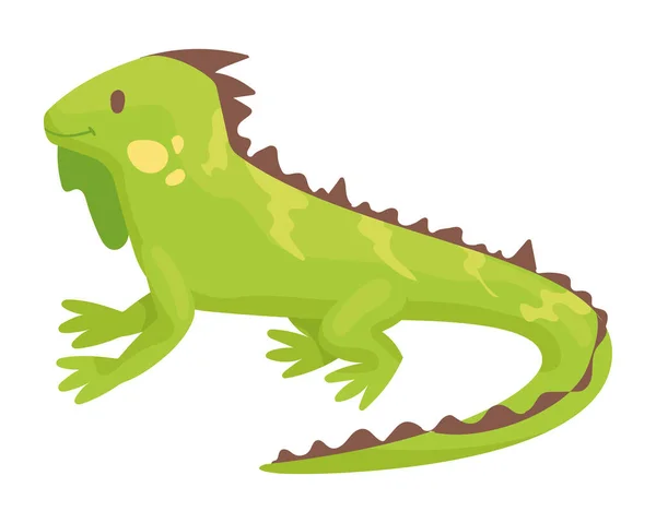 Lindo iguana animal niño — Vector de stock