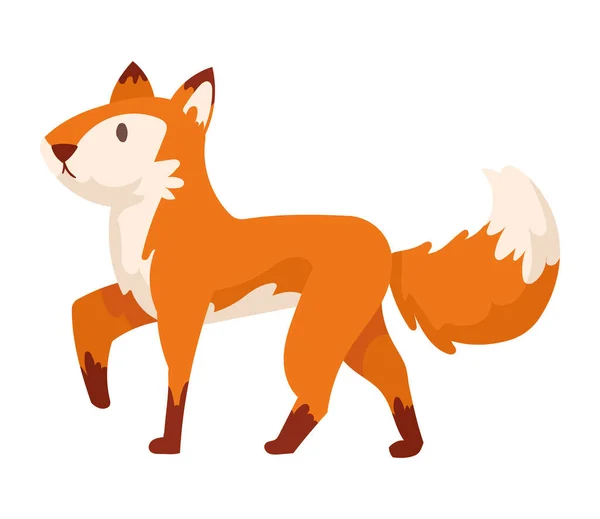 Cute fox animal kid — Stock Vector