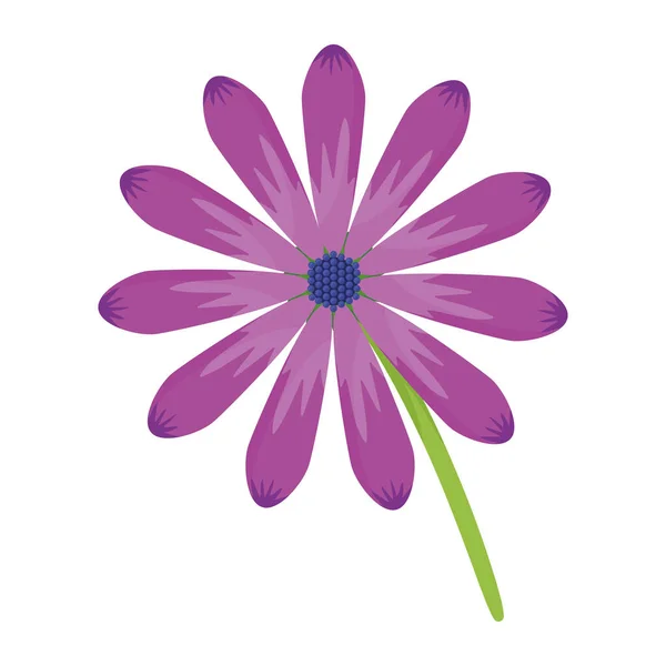 Beau jardin de fleurs violettes — Image vectorielle