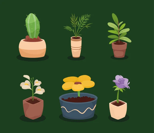 Шесть декоративных икон комнатных растений — стоковый вектор