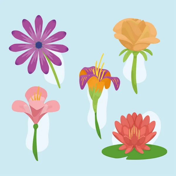 Öt gyönyörű virág kert — Stock Vector