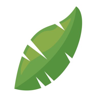 tropik yaprak palmiyesi