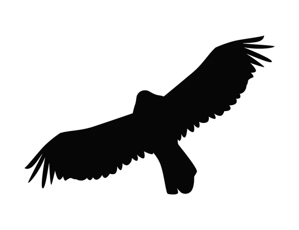 Silhueta voadora de águia — Vetor de Stock