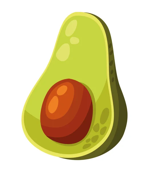 Свежий авокадо — стоковый вектор
