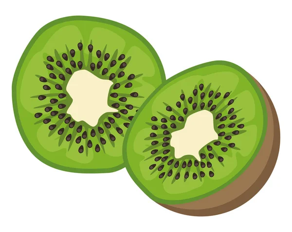 Frische Kiwi-Früchte — Stockvektor