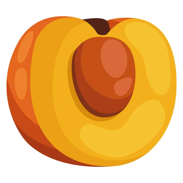 Fresh peach fruit — Stock Vector