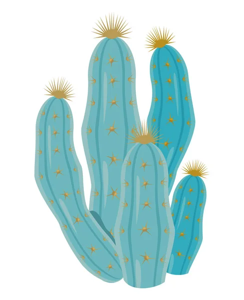 Green cactus dry plant — Image vectorielle