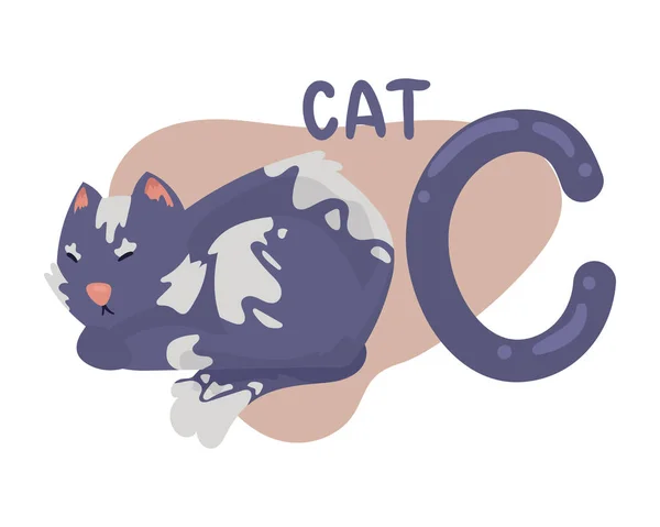 Kočičí a c písmeno — Stockový vektor