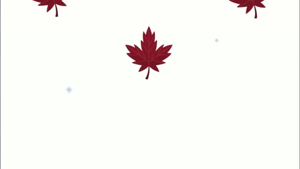 Canadiense arce hojas patrón de animación — Vídeo de stock