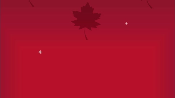Canadiano bordo folhas padrão animação — Vídeo de Stock