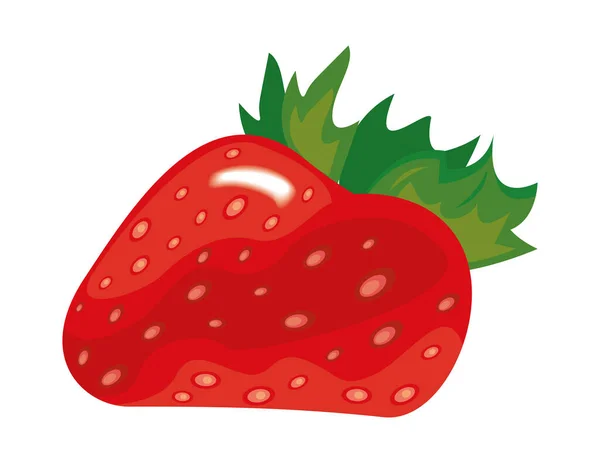 Vruchten van verse aardbeien — Stockvector