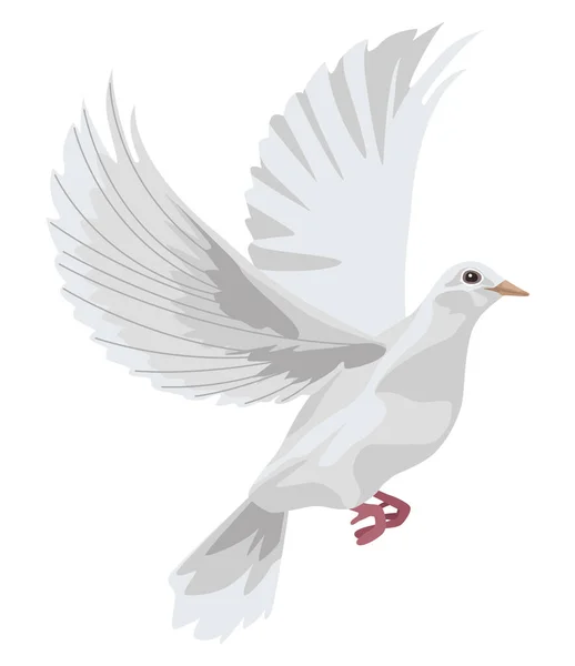 흰 비둘기 비행 — 스톡 벡터