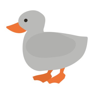 ördek vahşi hayvan yaşam karakteri