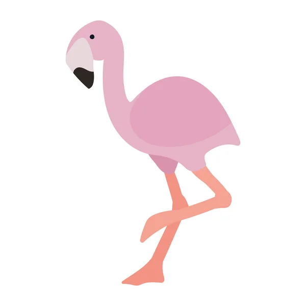 Flamingo Vilda Djur Karaktär — Stock vektor