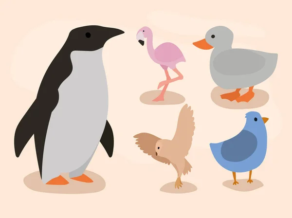 Cinco Animales Aves Establecen Iconos — Vector de stock