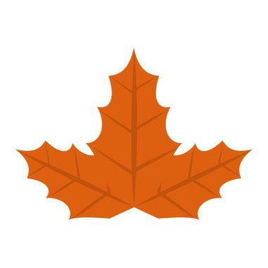 Akçaağaç sonbahar yaprağı doğa simgesi