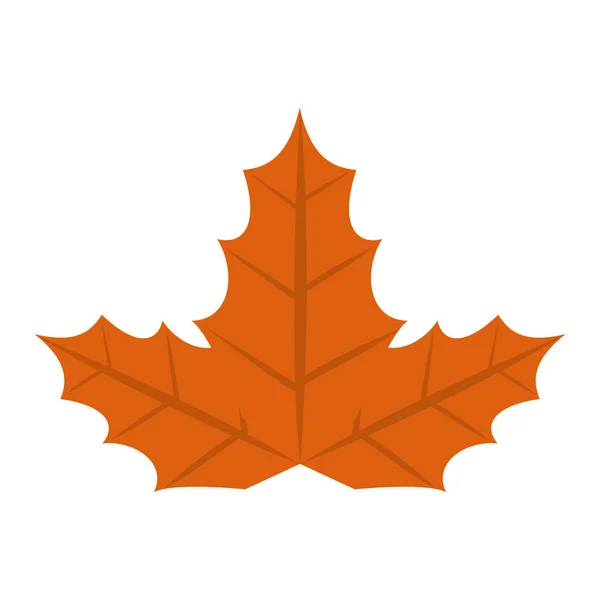 Maple Autumn Leaf Nature Icon — Stock Vector