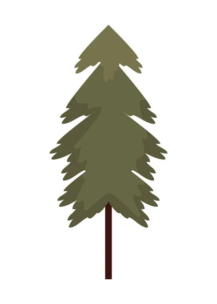 Höst Säsong Tall Träd Ikon — Stock vektor