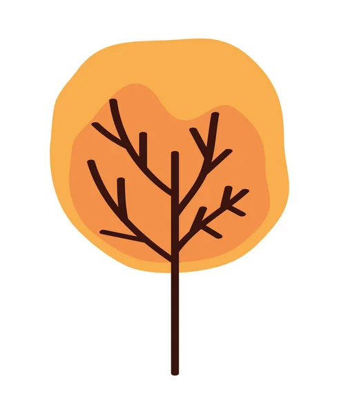 Orange Herbst Saison Baum Symbol — Stockvektor