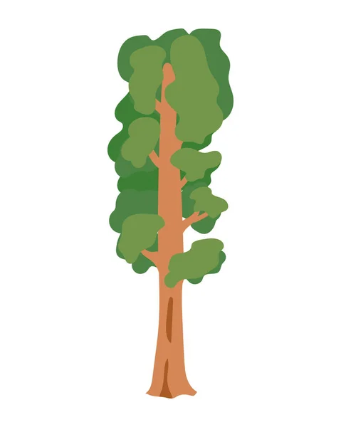 乔木植物森林自然图标 — 图库矢量图片