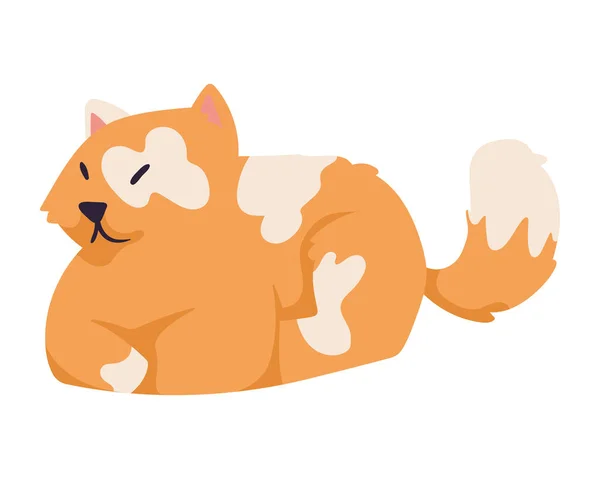 オレンジかわいい猫のマスコットキャラクター — ストックベクタ