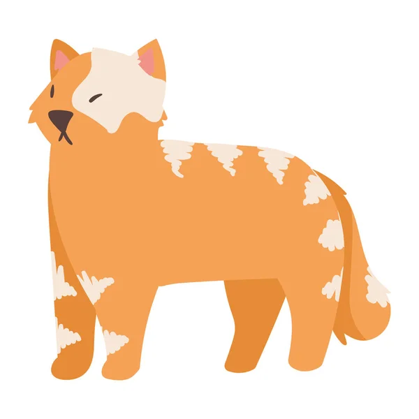 Mascota Gato Blanco Naranja — Vector de stock