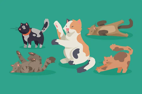 Cinque Simpatici Gatti Personaggi Mascotte — Vettoriale Stock