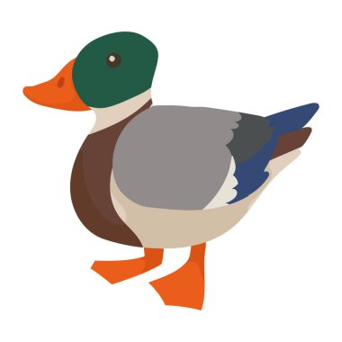 Vahşi ördek kuş hayvan baharat ikonu